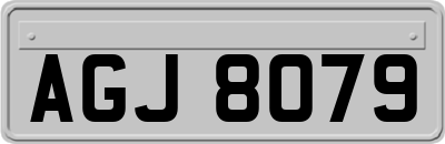AGJ8079
