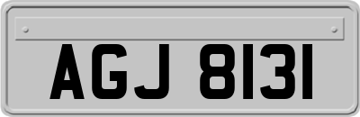 AGJ8131