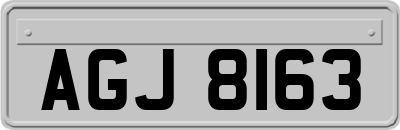 AGJ8163