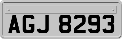 AGJ8293