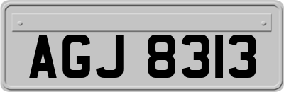 AGJ8313