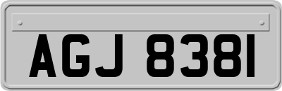 AGJ8381