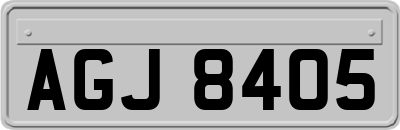 AGJ8405