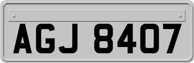 AGJ8407