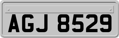 AGJ8529