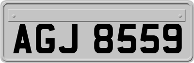 AGJ8559