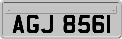 AGJ8561