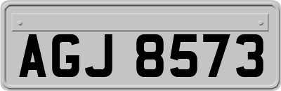AGJ8573