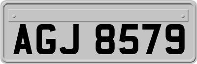 AGJ8579
