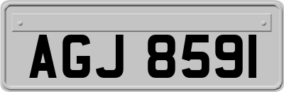 AGJ8591