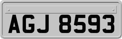 AGJ8593