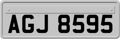 AGJ8595