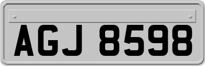 AGJ8598
