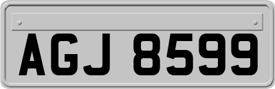 AGJ8599