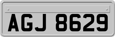 AGJ8629