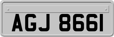 AGJ8661