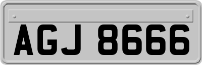 AGJ8666