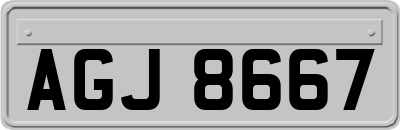 AGJ8667