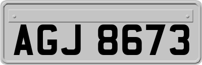 AGJ8673