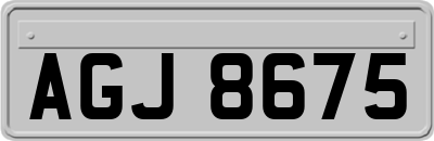 AGJ8675