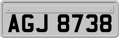 AGJ8738