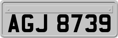 AGJ8739