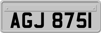 AGJ8751