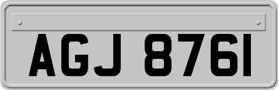 AGJ8761