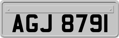AGJ8791