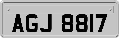 AGJ8817