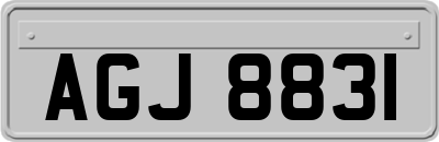AGJ8831