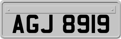 AGJ8919