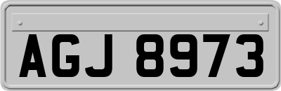 AGJ8973