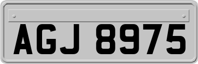 AGJ8975