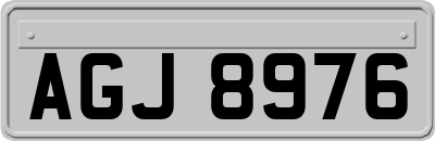 AGJ8976