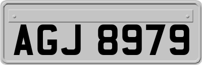 AGJ8979