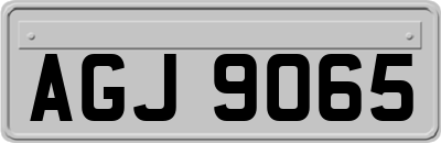 AGJ9065
