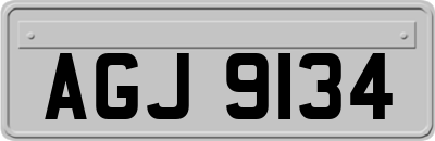 AGJ9134