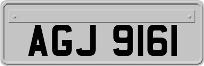 AGJ9161