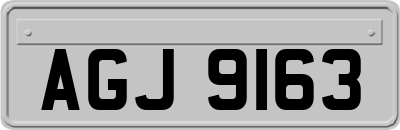 AGJ9163