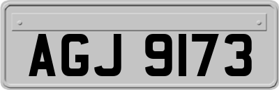 AGJ9173