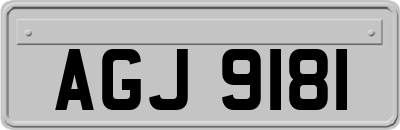 AGJ9181