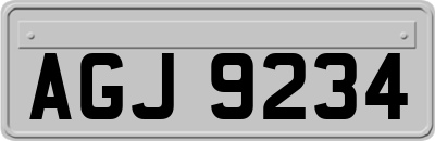 AGJ9234