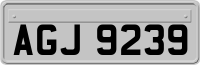 AGJ9239