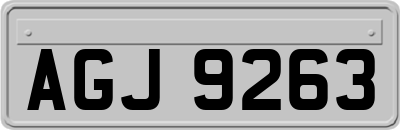 AGJ9263