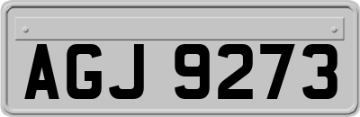 AGJ9273