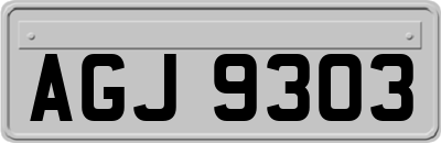 AGJ9303