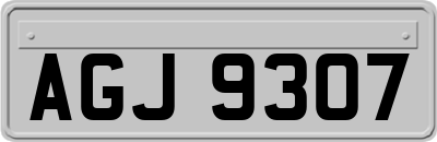 AGJ9307
