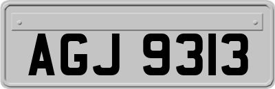 AGJ9313