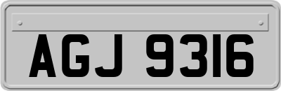 AGJ9316